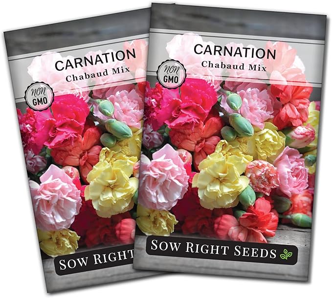 Sow Right Seeds - Chabaud Mix Carnation Seeds for Planting - Non-GMO Heirloom Dianthus Variety Ideal for Outdoor Gardens - Grow Large Carnation Plants - Easy to Sow and Bloom Beautiful Flowers (2)