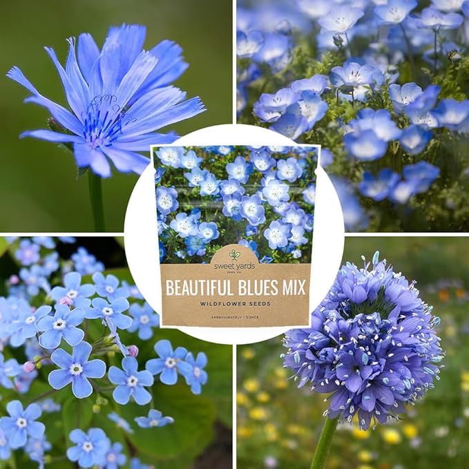 All Blues Wildflower Seeds Mix - Large 1 Ounce Packet - Over 7,500 Annual and Perennial Flower Seeds