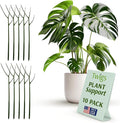 Plant Support Stakes for Indoor & Outdoor Use, Durable Trellis Alternative for Climbing & Potted Plants, Houseplant Stem Holder Structures - Monstera (Dark Green), 10 Pack, 22" L, Original