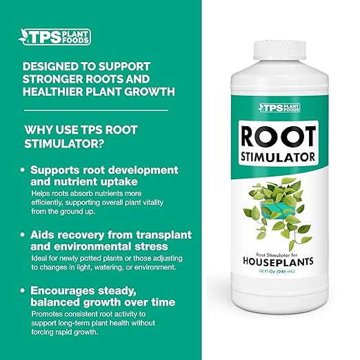 Root Stimulator for Houseplants – Liquid Root Supplement with Kelp & Probiotics for Stronger Roots & Better Nutrient Uptake, 8 oz
