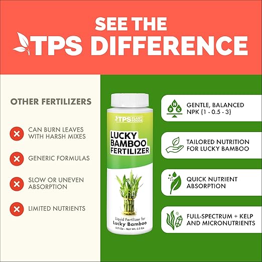 Lucky Bamboo Fertilizer – Liquid Plant Food for Greener Stalks, Healthy New Shoots & Steady Growth, 32 oz