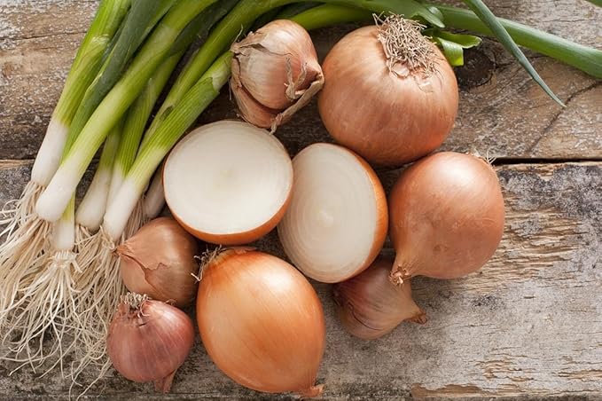 Seeds Chalcedony Onion - Heirloom Vegetable - GMO Free