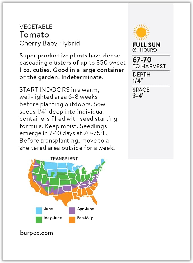 Burpee 'Cherry Baby Hybrid' Tomato Seeds for Planting- Non-GMO, Indeterminate, Cherry Tomatoes, 23mg Seed Packet