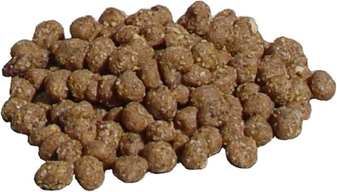 C&S Wild Bird Peanut Suet Nuggets Mega Box, 8 Pounds (Pack of 2)