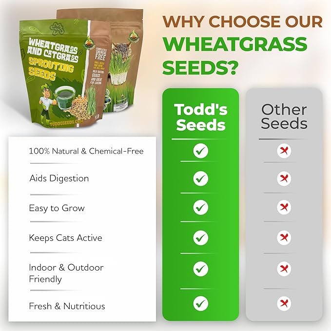Todd's Seeds Wheatgrass Seeds; Hard Red Winter Wheat, Non-GMO, Chemical Free, High Germination (1/4 Pound)