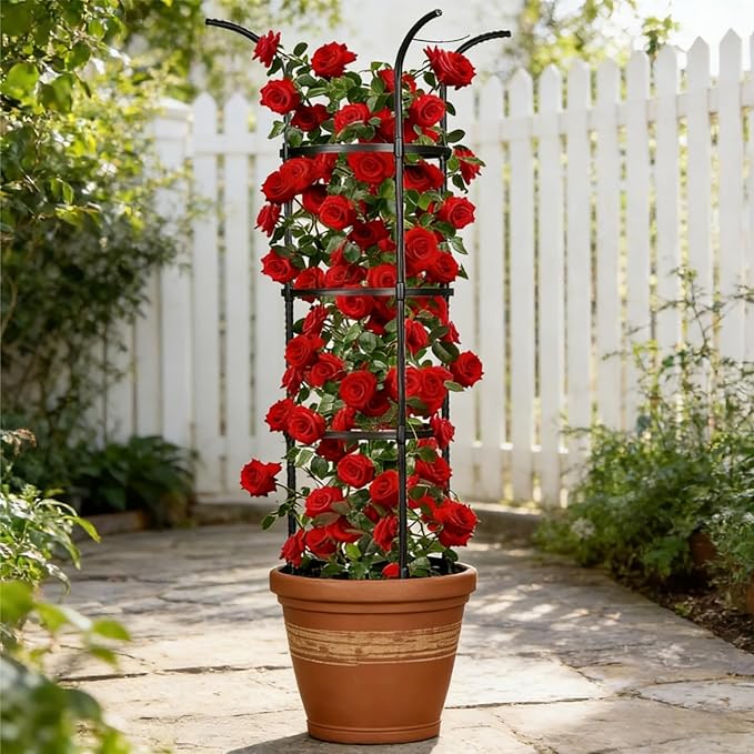 2 Pack Garden Obelisk Trellis for Climbing Plants Outdoor Indoor, 6 Ft Round Rustproof Metal Pot Plant Support Trellis for Rose Bush Clematis Vine Jasmine Flower Morning Glory Potted Plants Black