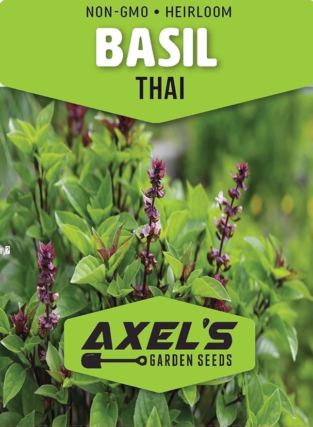 Sweet Thai Basil Seeds for Planting - Heirloom Non-GMO Packet with Instructions to Plant a Home Herb Garden – Indoor or Outdoor Gardening – Great for Hydroponics, 5 Packets