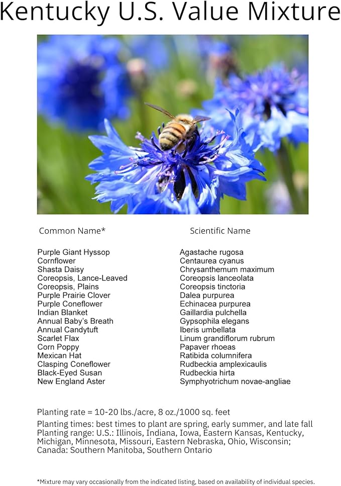 Kentucky Bulk Perennial Wildflower Seed Mix 1lb Covers 2,000sq-ft - Attract Pollinators, Multi-Color Blooms - Midwest US Species Plant in Spring/Fall - Earth-Friendly Packaging (1 Pound)