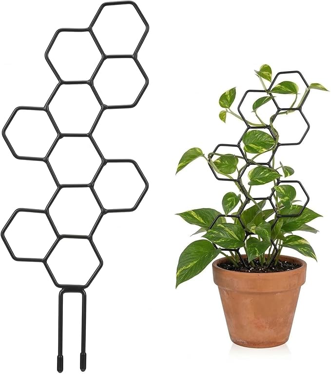 Plant Trellis Indoor, Trellis for Climbing Plants, Hanging Planters for Planting Houseplant Plant Wall, Honeycomb Pothos Planting Climber Support for Flower Indoor Plants Supports(Black)