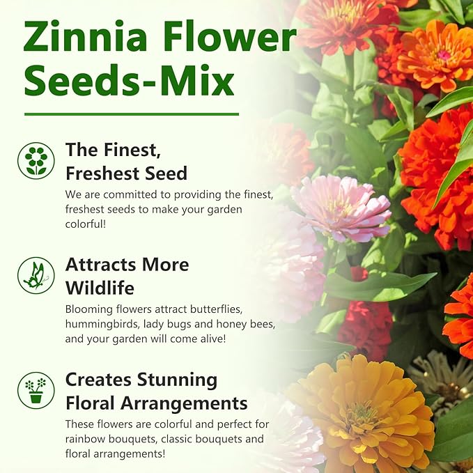 LUOJIBIE Zinnia Seeds, California Giants Mix, 1,0000+ Bulk Garden Flower Seeds for Planting Outdoors, Mixed Colors and Large Blooms, Attracts Pollinators, Easy to Grow