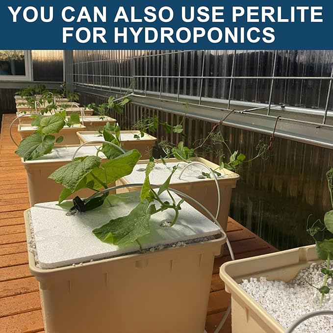Horticultural Perlite Plants 4qt, Chunky Perlite Bulk for Gardening, Soil Amendments to Improve Soil Aeration & Dranage for Houseplant