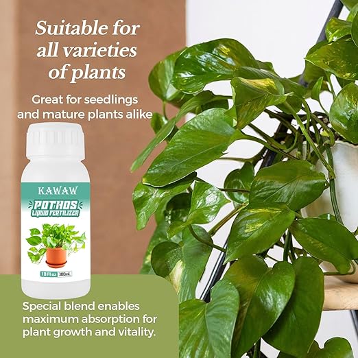 10 oz Pothos Plant Food Liquid Fertilizer - Organic Probiotic Nutrient Solution for Indoor Houseplants, Vibrant Leaves & Root Growth