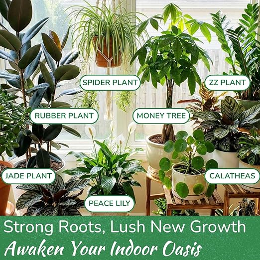 Indoor Plant Food by Houseplant Resource Center - Organic Liquid Fertilizer for Pothos, Peace Lily, Monstera, Cactus and More - 8 oz