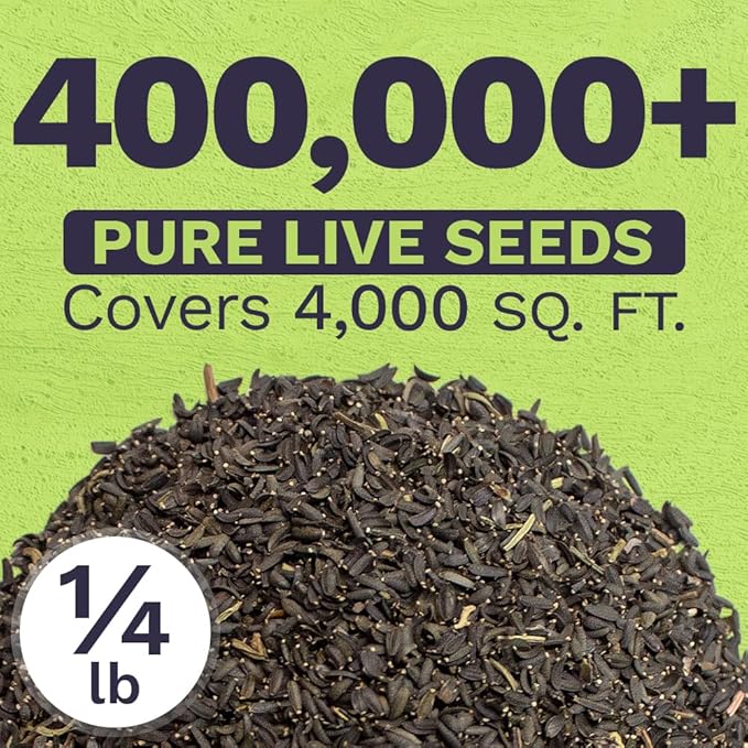 Plains Coreopsis Seeds – Native Flowers – Bulk Quarter Pound Bag – Over 400,000 Open Pollinated Non-GMO Wildflower Seeds – Coreopsis tinctorial