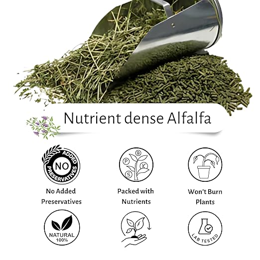 Alfalfa Meal Pellets, AlfaThrive Plant Multivitamin and Fertilizer, and Animal Feed. 4.0 lbs, 2.5-0.5-2.5 NPK