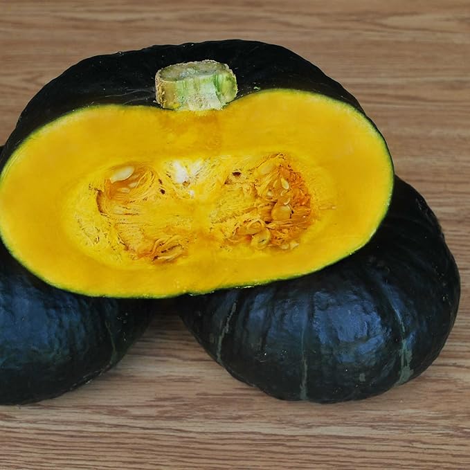 Squash Seeds - Winter - Zeo Feng - Hybrid - 2 g Packet ~15 Seeds - Non-GMO, F1 Hybrid - Asian Garden Vegetable