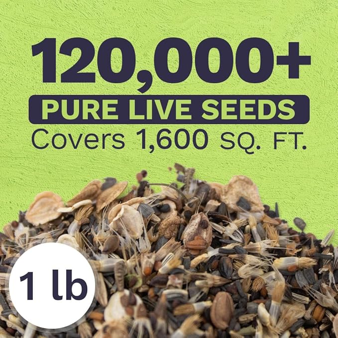 Drought Tolerant Wildflowers Mix – Bulk 1 Pound Bag – Over 120,000 Open Pollinated Non-GMO Seeds – 21 Different Dryland Species