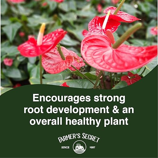 Farmer's Secret Anthurium Liquid Plant Food Fertilizer (8oz) - Super Concentrated - Promotes Growth and Flowering - 4:15:12 Ratio
