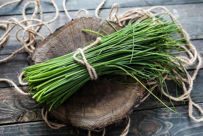 400+ Seeds Garlic Chives Onion - Vegetable Green