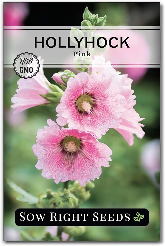 Sow Right Seeds - Pink Hollyhock Seeds for Planting - Non-GMO Heirloom Packet with Instructions to Plant an Outdoor Cottage Garden - Tall Flowers, Cup Shaped Blooms for Bouquets & Arrangements (1)