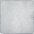 iPower 4 Inch Replacement Pre-Filter for 4" Carbon Filter