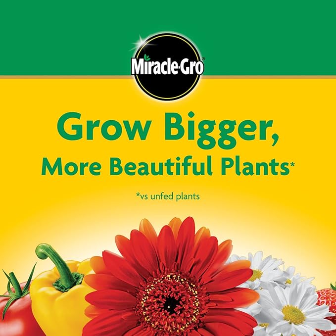 Miracle-Gro Water Soluble All Purpose Plant Food, Feed Flowers, Vegetables, Roses, Shrubs, and Houseplants, 5.5 lb.