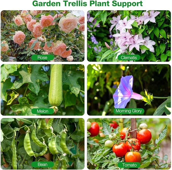 DOITOOL Metal Garden Trellis for Climbing Plants, Decorative Plant Trellis Foldable Plants Support Lattice Metal Plant Frame for Climbing Vines Flower Vegetables - 23.6×20.8 inches