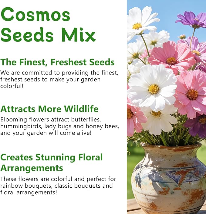 Cosmos Seeds for 2026 (4,500+ Seeds) - Crazy Blend Mix Color, Cosmos Flower Seeds for Planting Garden, No Filler, 1.5 Oz Packet, Easy to Grow