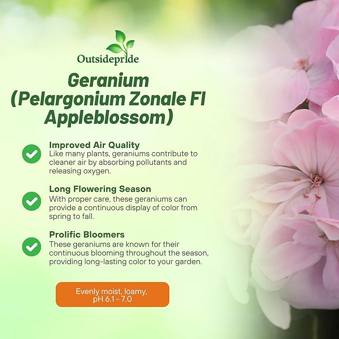 Outsidepride Appleblossom Geranium Seeds for Planting - 50 Pcs Annual, Heat & Drought Tolerant Flower Seeds with Green Foliage & Light Pink Blooms for Pots, Borders & Lush Summer Garden Displays