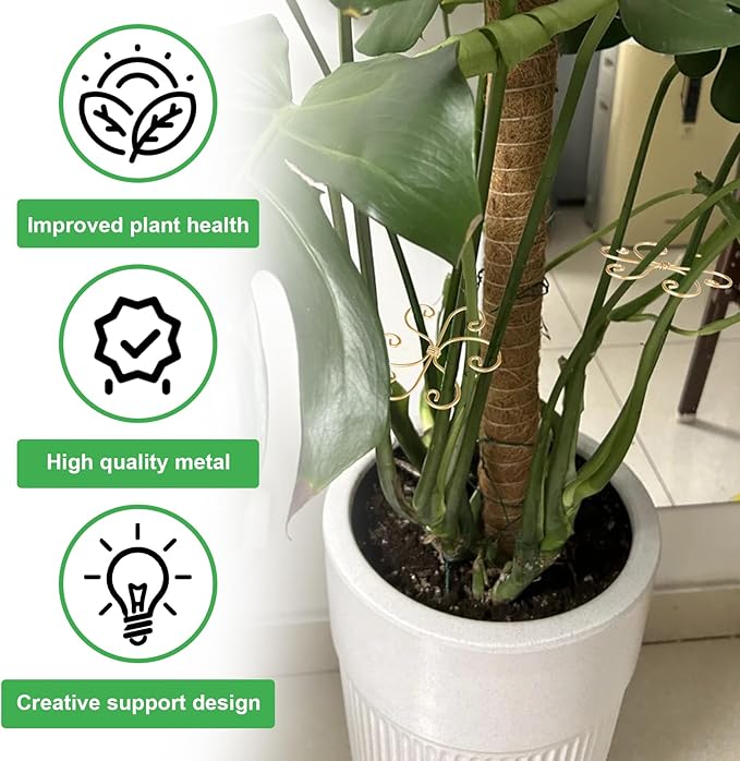 6pcs Plant Stem Support, Iron Monstera Plants Support, Plant Stem Holder Support Unique Design Bamboo Clamp Set for Outdoor & Indoor Growing Climbing Plants Stabilization and Supports