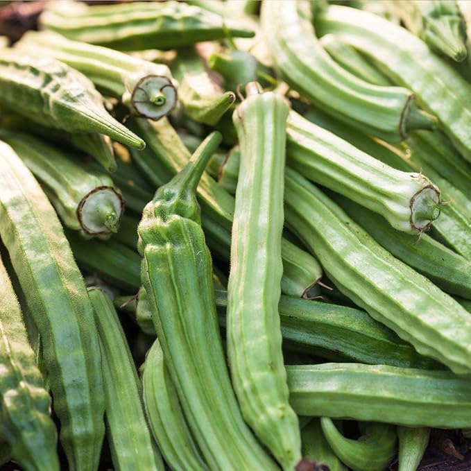 Okra Garden Seeds - Emerald - 1 Lb - Heirloom, Non-GMO Vegetable Gardening Seeds - Open Pollinated - Abelmoschus esculentus