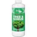 Bloom City Tree & Shrub Fertilizer – Liquid Plant Food for Stronger Roots, Fuller Foliage & Healthy Landscape Growth, 32 oz