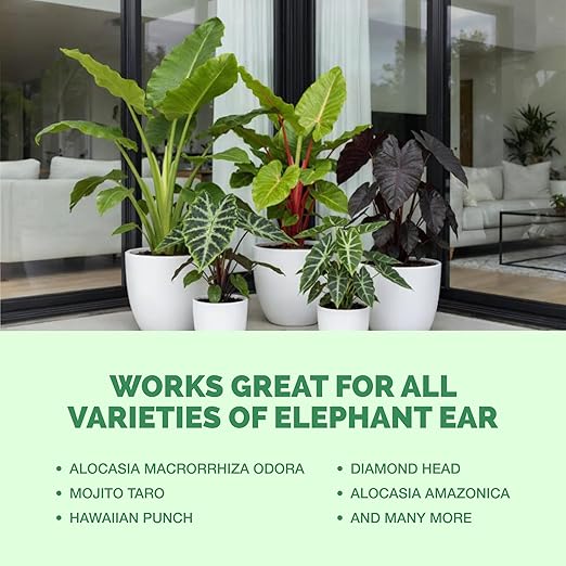 Elephant Ear Fertilizer – Liquid Plant Food for Bigger Leaves, Lush Growth & Stronger Roots, 32 oz