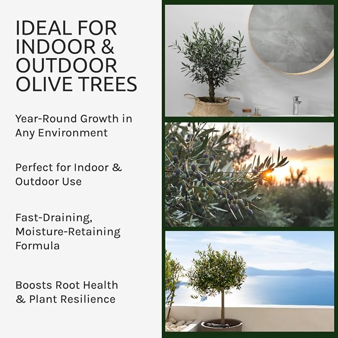 GARDENWISE Organic Olive Tree Potting Mix – Fast-Draining, Nutrient-Rich Soil for Indoor & Outdoor Olive Trees – Mediterranean Plant Care – Long-Lasting Formula (4 QUARTS)