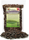 GARDENERA Thai Constellation Monstera Soil Blend - Designed to Meet The Unique Needs of Your Plant - 4 Quart