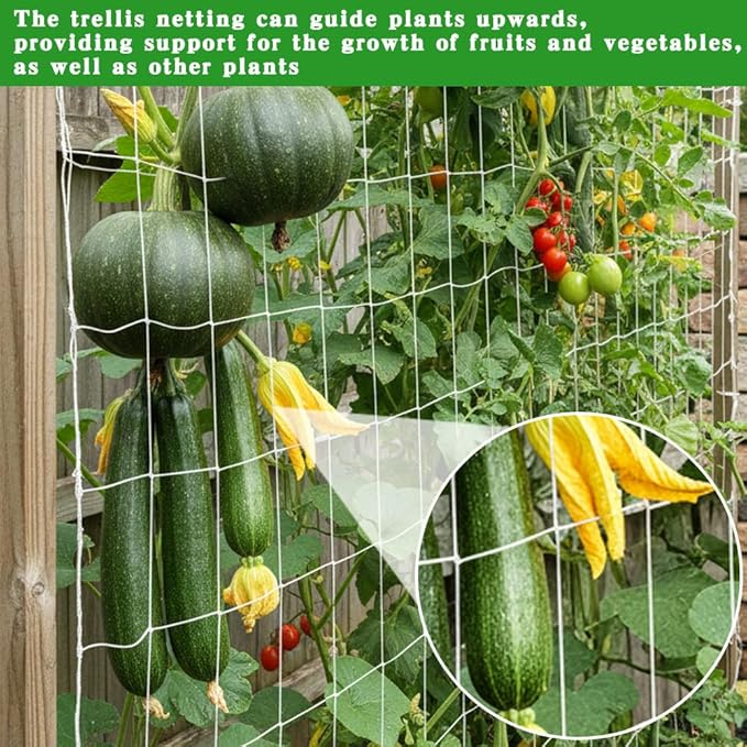Trellis Netting for Climbing Plants 2 Pcs 6x30Ft Garden Trellis Netting Plant Support Net Heavy Duty Climbing Net Trelliss for Vegetables Fruits Grape Beans Tomatoes Peas Pumpkin Flowers Outdoor