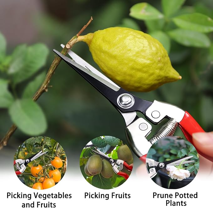 Kynup 3Pack Pruning Shears, Garden Shears, Pruning Shears for Gardening, Gardening Shears Scissors Clippers, Garden Tools Set with Gloves, Stainless Steel, Soft Grip Handle