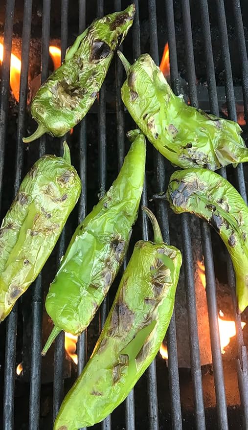 Hatch Green Medium Big Jim Chile Seeds from New Mexico - 30 Non-GMO Seeds