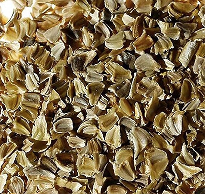 Painted Daisy Seeds - Chrysanthemum Carinatum - 2500 Seeds