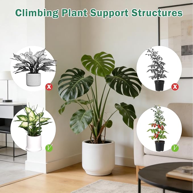 5 Pack Stackable Monstera Plant Support Stakes, Tall Twig Climbing Plant Pole Sticks Structures for Indoor/Outdoor Plants, Garden Accessories for Bird of Paradise, Pothos, Philodendron & Vine Plants
