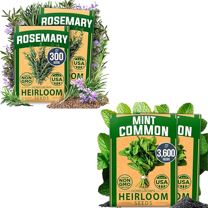 HOME GROWN Rosemary & Mint Seeds Bundle – 3900+ Non-GMO Herb Seeds for Indoor/Outdoor Growing – High Germination – USA-Sourced Seeds for Tea, Cooking & Aromatic Gardens