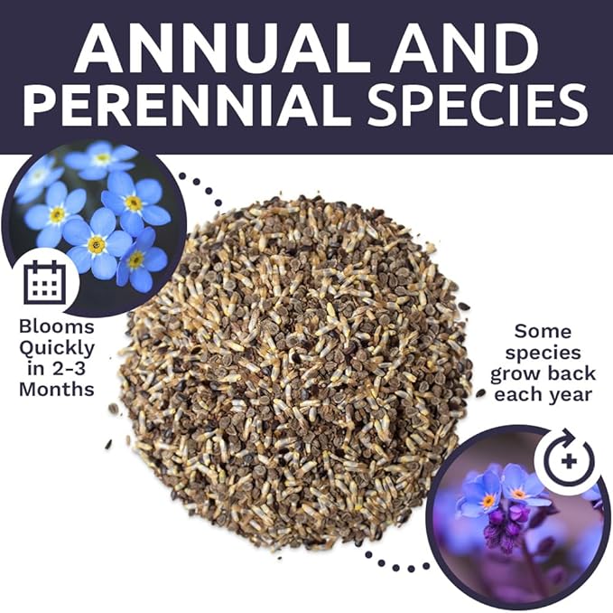 All Blues Wildflower Seeds Mix - Large 1 Ounce Packet - Over 7,500 Annual and Perennial Flower Seeds