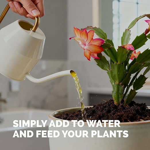 Christmas Cactus Fertilizer – Liquid Plant Food for More Blooms, Brighter Flower Color & Stronger Root Development, 32 oz