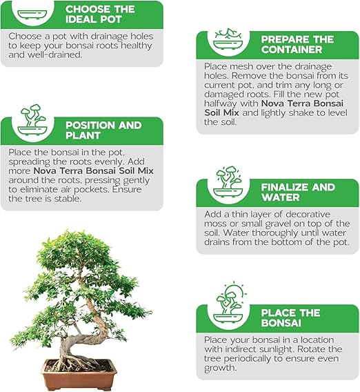 Bonsai Soil Mix Ready to use Tree kit Lotus Seeds for Planting in Water Bonsai pots Wire Tree pots akadama Soil 2 oz Bag of Fertilizer Pellets Inside 2.4 Qts