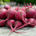 Ruby Queen Beet Seeds for Planting – Plant & Grow Heirloom Red Beets in Home Outdoor Vegetable Garden, Beta vulgaris – 2 Packets
