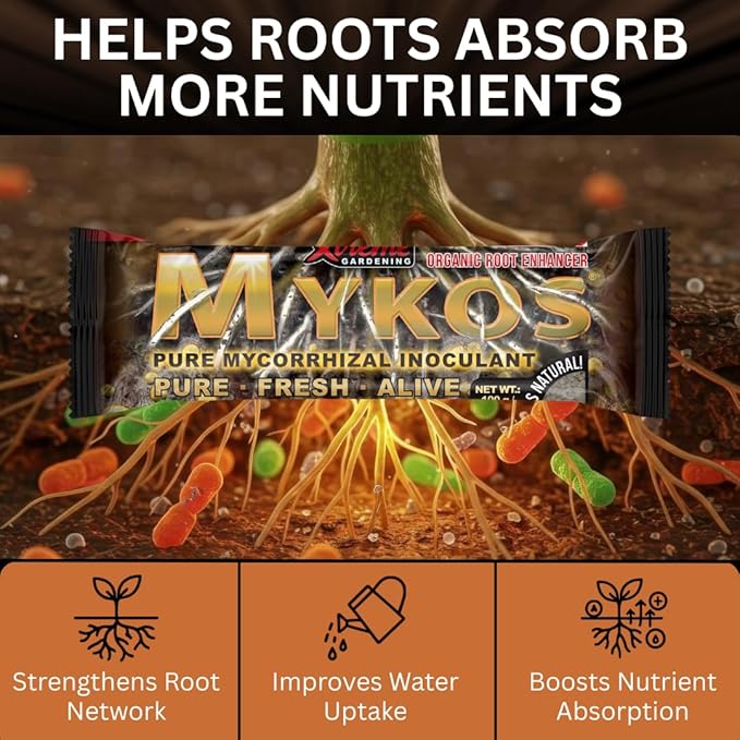 Xtreme Gardening Mykos Pure Mycorrhizal Inoculant, 100 g, 2 Count