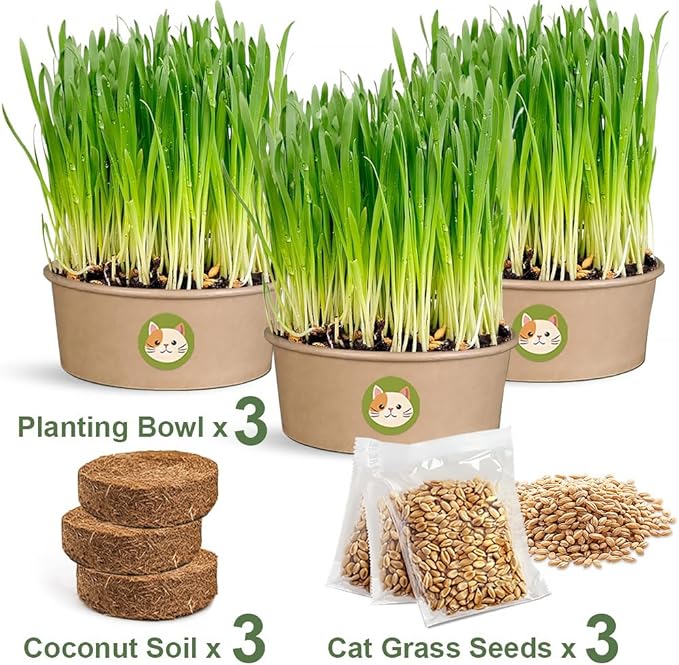 Cat Grass Kit for Indoor Cats, 3 Pack Fast Growing Cat Grass Kit with Eco-Friendly Biodegradable Pots, Soil & Organic Wheatgrass Seeds, Grows in 3-7 Days with High Germination Rate