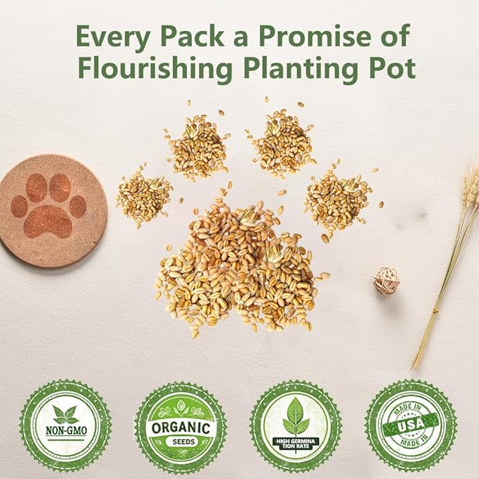 Cat Grass Kit for Indoor Cats, 3 Pack Fast Growing Cat Grass Kit with Eco-Friendly Biodegradable Pots, Soil & Organic Wheatgrass Seeds, Grows in 3-7 Days with High Germination Rate