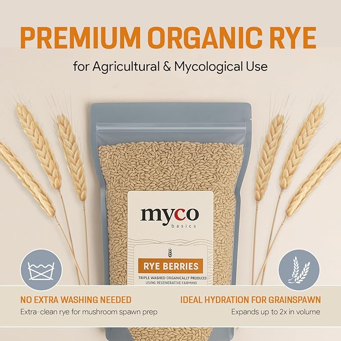 Rye Berries for Mushroom Spawn - Organic, Triple Washed Rye Grain to make Mushroom Grainspawn by Mycology Basics - 5 lbs