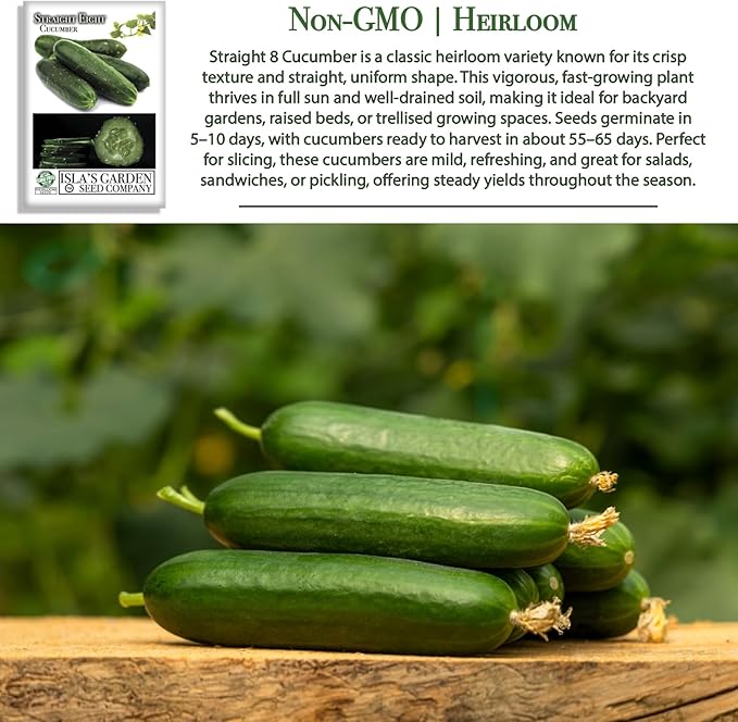 Straight Eight Cucumber Seeds – 150+ Heirloom Non-GMO Seeds by Isla’s Garden Seeds, Crisp & Tender, High-Yield, 90% Germination Rate, Perfect for Slicing, Easy to Grow, Great for Home Gardens or Gift